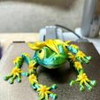 422891909_1033937617676848_2742769887084118953_n.jpg Flexi Articulated Flower Frog No support