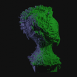 vid0245.png Alien Insectoid Bust