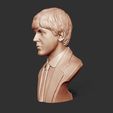 03.jpg Paul McCartney 3D print model