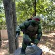 Rafael - TMNT