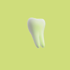 tooth-render.png Fichier STL gratuit MODÈLE DE DENT HUMAINE・Modèle pour imprimante 3D à télécharger