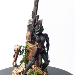 Vinnessa Assassin