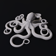 side1.png Octopus Hangable Wall Decoration for Air Plants