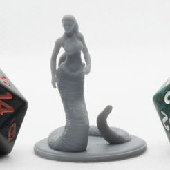 P4260076.jpg Fichier STL gratuit Miniature de table Yuan-Ti・Objet imprimable en 3D à télécharger