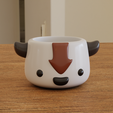 appa-v2.png cute appa - avatar the last air bender - planter - mug - container