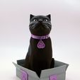 cults3d_cats3.jpg SCHRODINKY: BRITISH SHORTHAIR CAT IN A BOX – 3D PRINTABLE, MULTI PART MODEL - SINGLE EXTRUSION PACKAGE
