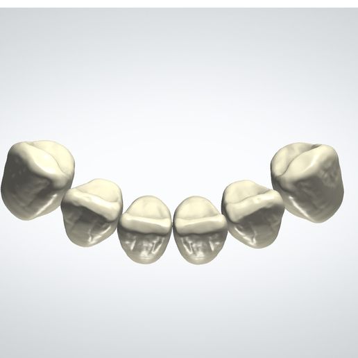 🦷 3Shape Library Lower_Natural_3・ STL File for 3D printing・Cults
