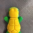 tortue flexible
