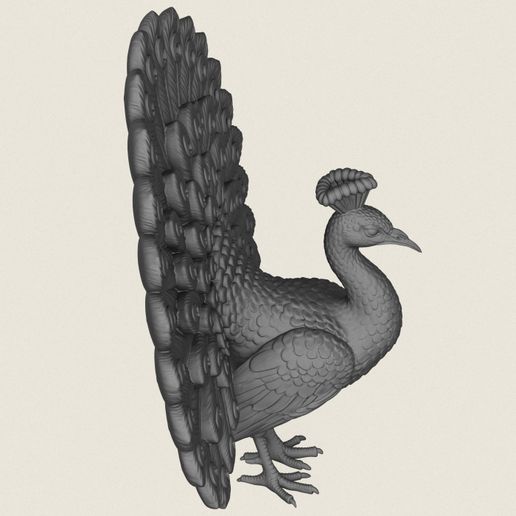 Peacock-Bird-08.jpg Птица павлин