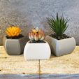 20210718_172434.jpg Minimalist Geometric Succulent Planters - 3 styles