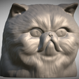 Zrzut-ekranu-2025-06-14-111242.png Persian cat head for 3D printing