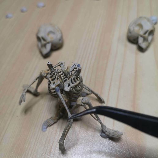 IMG_20220219_200255.jpg Alien skeleton, skeleton in the jar