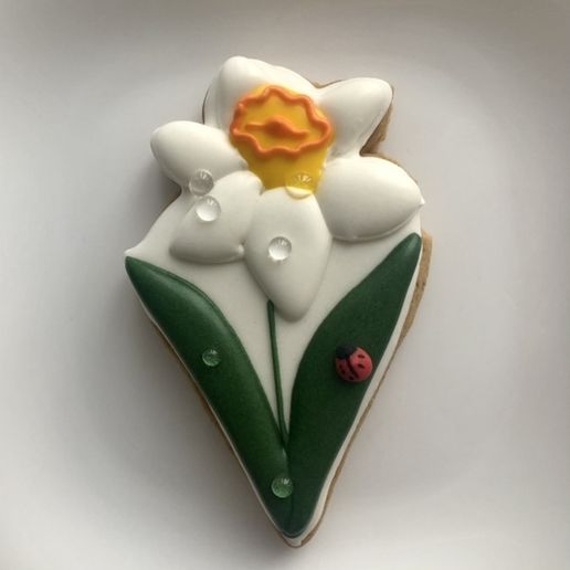 daffodil.jpeg Высечка для печенья 10 см в рамке с нарциссами