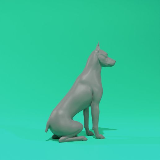 02.jpg Доберман