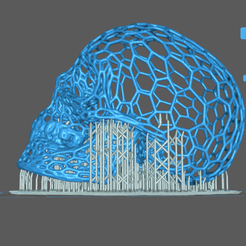 skull voronoi 2 support .png Voronoi Skull 3D print model