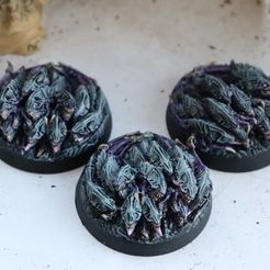 СВОБОДНОЕ ПРОСТРАНСТВО ДЛЯ ВЫВОДКА ЖУКОВ ПИРАНИЙ