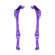 Leg_Bones.stl Archivo STL Esqueleto de dodo (preciso y con todo lujo de detalles)・Design para impresora 3D para descargar