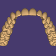 ApplicationFrameHost_xyDwfbiCNa.png Dental Anatomy and Root Structures