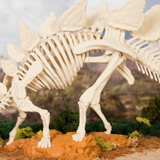 Capture d’écran 2017-09-05 à 17.52.59.png STL-Datei Stegosaurus Skeleton kostenlos herunterladen • Design zum 3D-Drucken, JackieMake