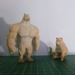274931535_1150390225499261_1800699399828368961_n.jpg 3D file Swole vs Cheems doge meme・Model to download and 3D print, C-Lay