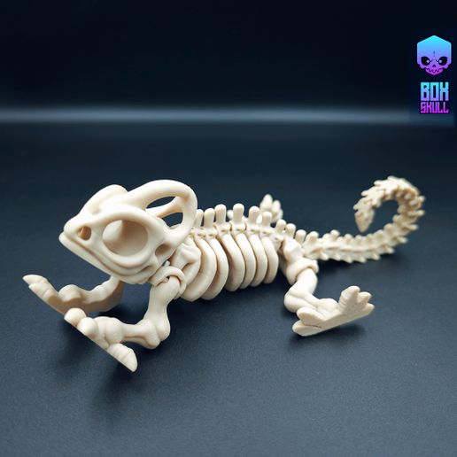 img_Chemeleon_007.jpg SKELETON CHAMELEON - ARTICULATED - PRINT-IN-PLACE - FLEXI