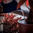 proud-marry-watering-can-flow.jpg Self Watering Planters