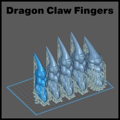 dragon_claw_fingers.jpg Dragon Finger Claws