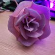 20240212_233403.jpg Rose with LED,s