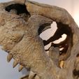 IMG_20210703_205230.jpg Majungasaurus skull 3D Print - dinosaur