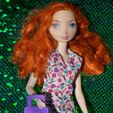 DSC09329.JPG Doll Purse for Barbie Sized Dolls