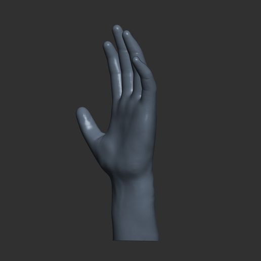 2.jpg Rigging Hand model, rigging hand model