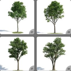 tOY4Na5K.jpeg Long Tree Pot Plant Home Decoration 3D Model 57-60