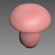 MSH3.jpg Mushroom