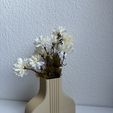 IMG_8198.jpeg Modern vases / Modern vases