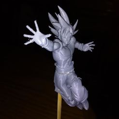 GOKU ULTRA INSTINCT COMPLETE POSE