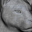 25.jpg Lioness head for 3D printing