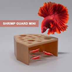 1-GOOD.jpg Mini Shrimp Guard to Prevent Predator Fish. Ultimate Breeding Protection for Shrimp in Betta Tank. Perfect for Nano to Medium Size Tank.