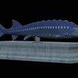Sturgeon-statue-9.png fish beluga / sturgeon / huso huso / vyza velká statue detailed texture for 3d printing