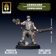 6.jpg Commando Commander