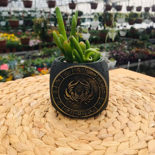 Zodiac Cancer Planter Pot 3D model