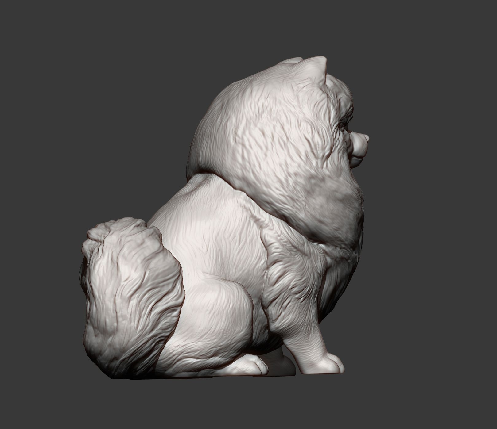 Pomeranian7.jpg Archivo 3D Modelo de impresión 3D de pomerania・Objeto imprimible en 3D para descargar, akuzmenko