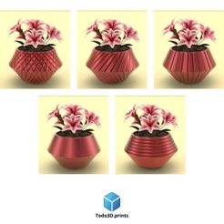 218.jpg FLOWER POTS COLLECTION / FLOWER POTS COLLECTION