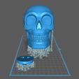 Skull_Mbox_1.jpg Skull Moneybox 3D Print Model-Chitubox supported
