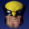 head02_01.jpg Wolverine 1/12 Kopfskulptur