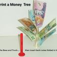 instructions_display_large.jpg Money Tree... Money does grow on trees!