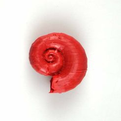 6a5b68350b903dfe7f82d75e28ee3008e19009b3.jpg Free STL file Shell pendant・3D print design to download