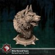 6.jpg Werewolf bust