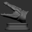 12.png Cabeça de crocodilo