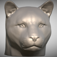 Zrzut-ekranu-2025-06-14-100342.png Голова леопарда для 3D-печати