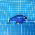 20201115_220855.jpg CrankBait 2.5"